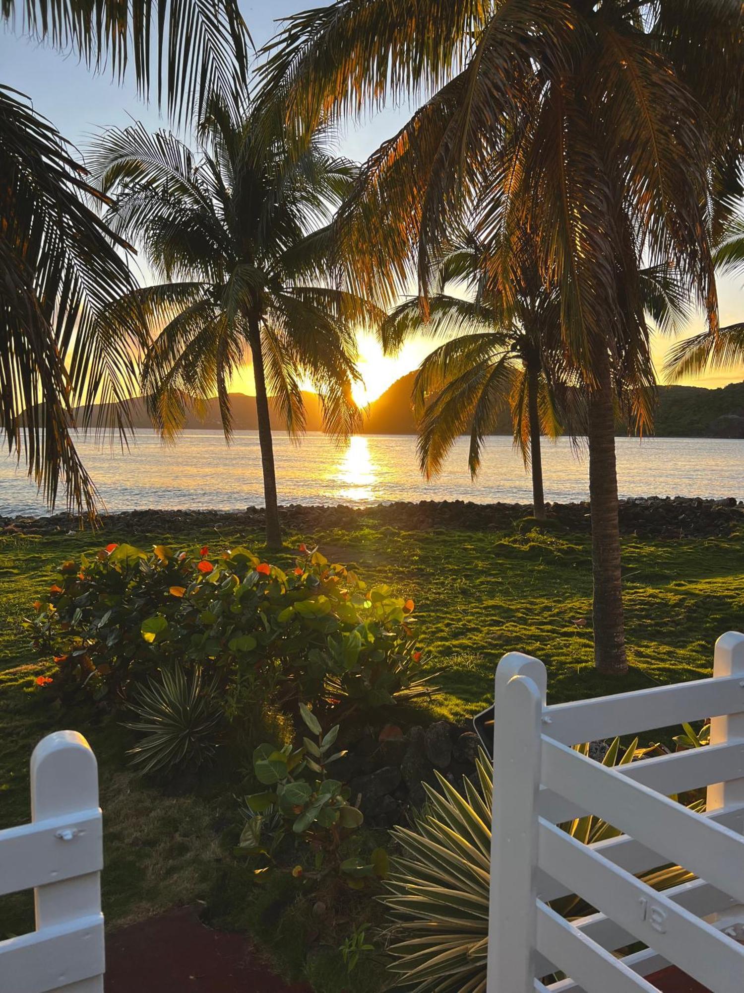 Bungalow Sucrier, Les Pieds Dans L'Eau Terre-De-Haut Exterior photo